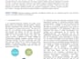 do professional research writing and technical documentation